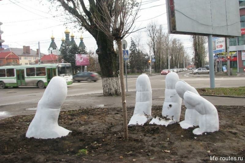 Древо жизни