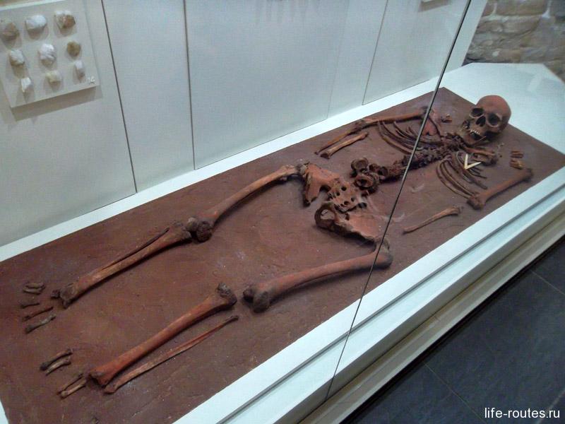 Погребение из Оленеостровского могильника - древней стоянки первобытных людей